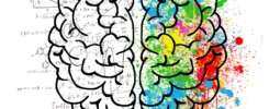 Conecta con el cerebro del consumidor.