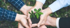 Genera un impacto significativo.