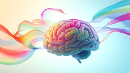 Elige la paleta de colores adecuada.